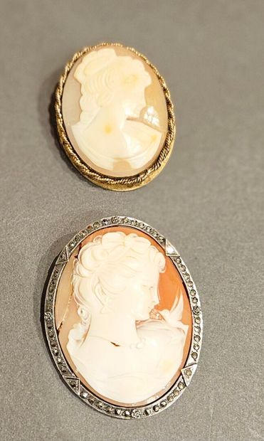 Two shell cameos with a woman's profile,...