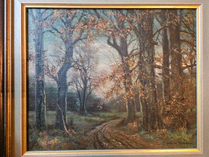 Otto VON PIDOLL (20th century)
Autumn undergrowth
Oil...