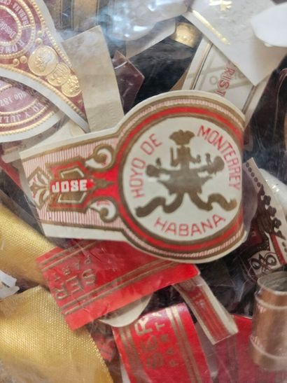 Cigar ring collection
