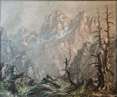 Otto VON PIDOLL (20th century)
Mountain landscape
Oil...