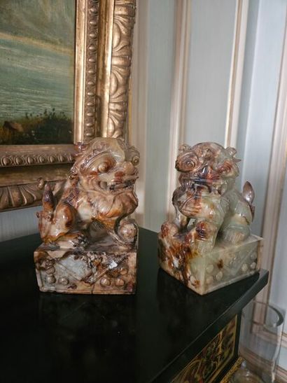 Pair of Phô dogs in hard stone on rectangular...
