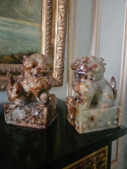 Pair of Phô dogs in hard stone on rectangular...