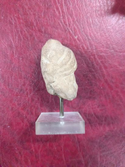 Enturbanned terracotta head
Plinth
H. 4.5...