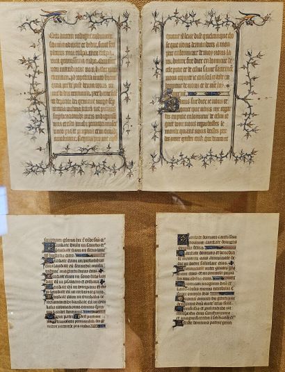 Four illuminated leaves on vellum in a f...