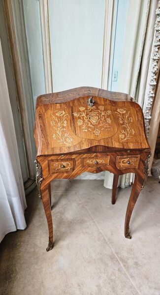 Small sinuous-shaped donkey-back desk in...