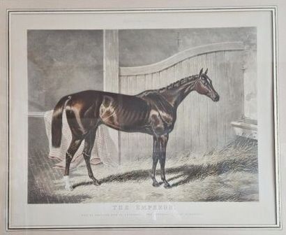 Lot including:
Two color prints: Le Jugement...