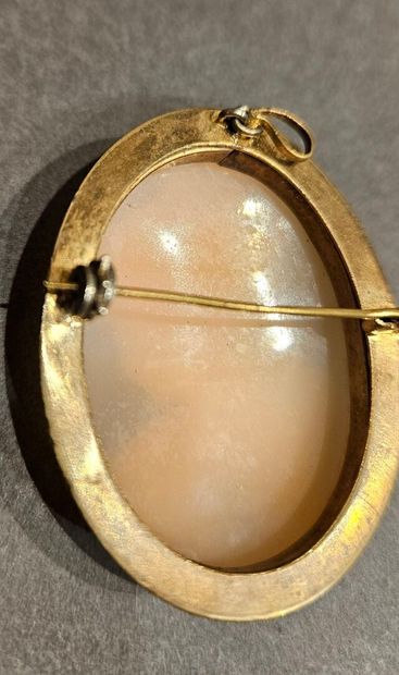 Two shell cameos with a woman's profile,...