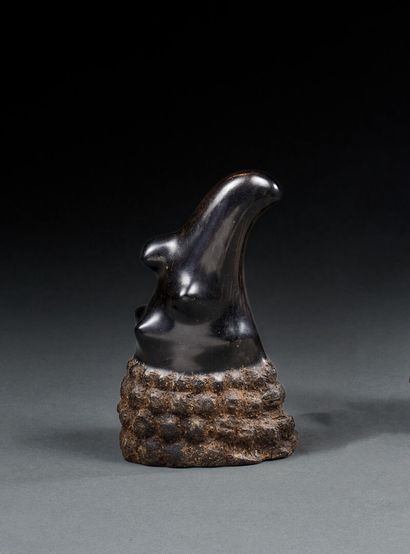 Java rhinoceros horn with nodules
H. 14 cm...