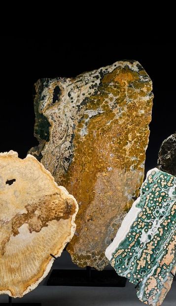 Large green and yellow orbicular jasper plaque
Aesthetic...