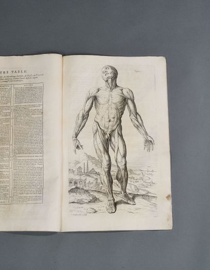Anatomy book 