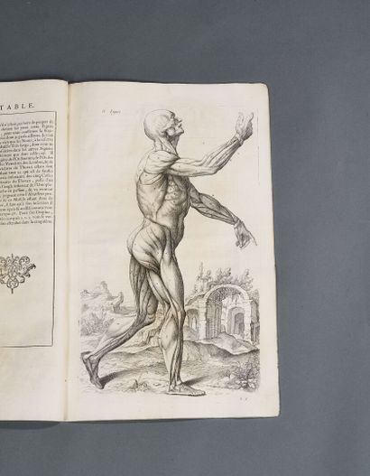 Anatomy book 