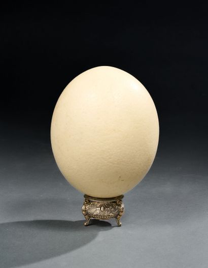 Ostrich egg on silver base
Farmed egg
H....