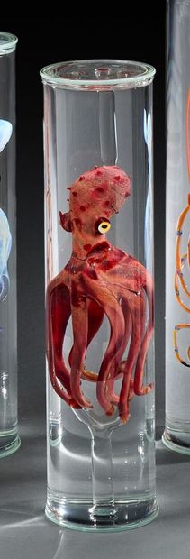 William GEFFROY (21st century)
Northern octopus...