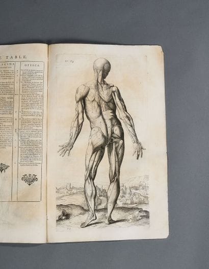 Anatomy book 