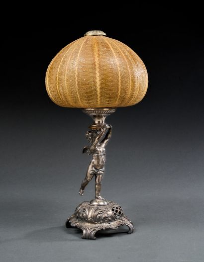 Large sea urchin test mounted on a base in...