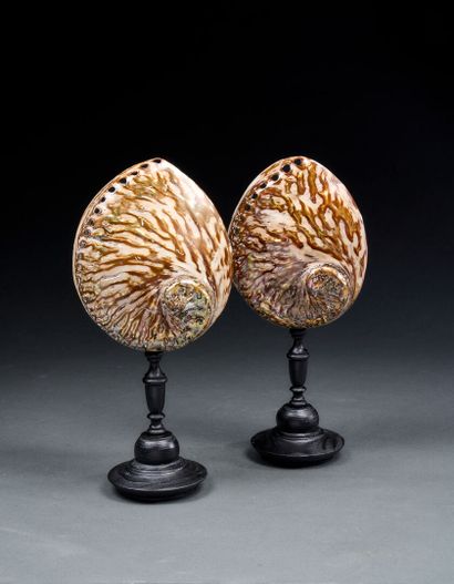 Pair of gilded Haliotis Midas on foot
H....