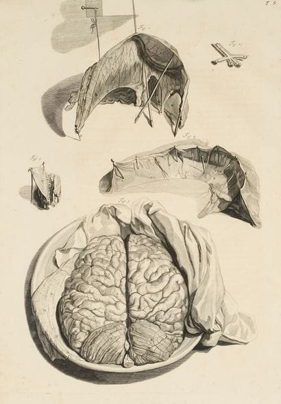 G. de LAIRESSE (1641-1711), after
Set of...