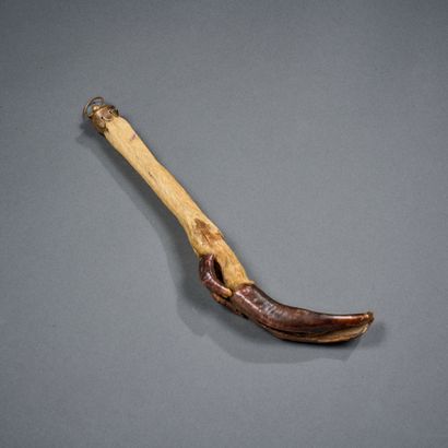 Deformed deer leg
L. 28 cm