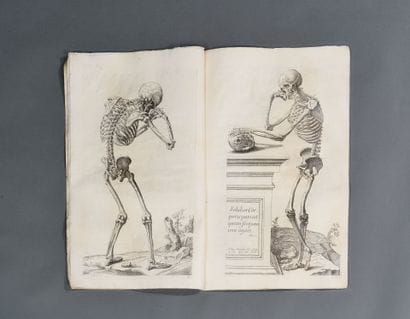 Anatomy book 