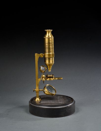 Astonishing bronze microscope under a globe
The...
