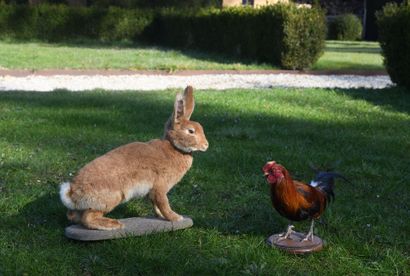 Hare
L. 51 cm - H. 46 cm - W. 18 cm (missing...