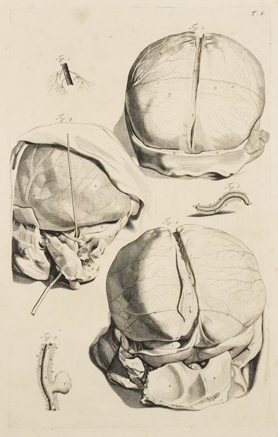 G. de LAIRESSE (1641-1711), after
Set of...