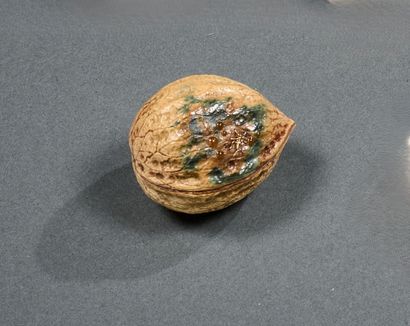 Siberian mammoth ivory nut called 