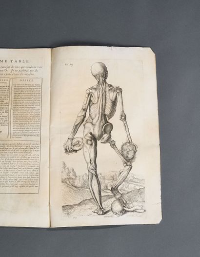Anatomy book 