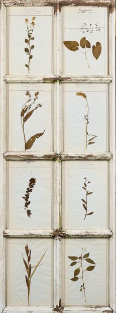 Set of four door panels, each with eight...