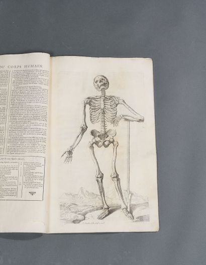 Anatomy book 