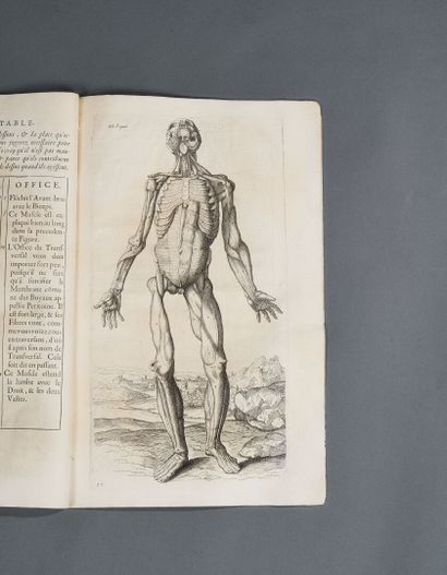 Anatomy book 