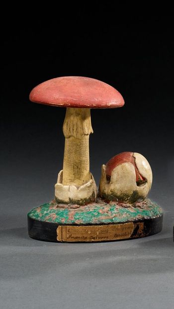 BOUBEE & CIE (1845-2014)
Model of 