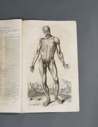 Anatomy book 