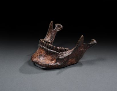 Iron mandible of a man
Beautiful brown patina...