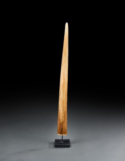 Swordfish rooster mounted on base
H. 74 ...