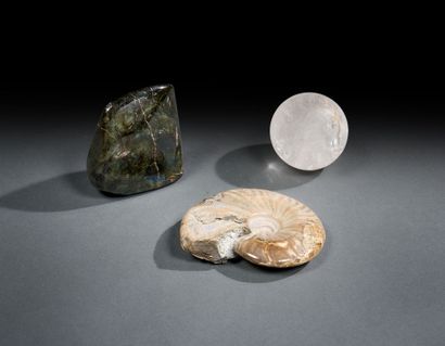 Set of minerals (crystal, labradorite, fossil)...