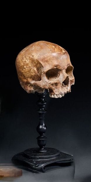 Memento mori on antique stand
Plaster
In...