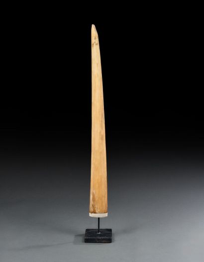Swordfish rooster mounted on base
H. 77 cm
With...