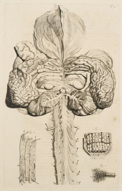 G. de LAIRESSE (1641-1711), after
Set of...