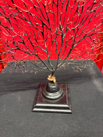 Black fan-shaped gorgon on base
H. 50 cm...