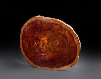 Padouk or scented wood slice
Diam. 100 c...