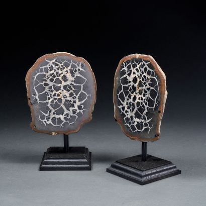 Pair of Septaria on base
The cross-section...