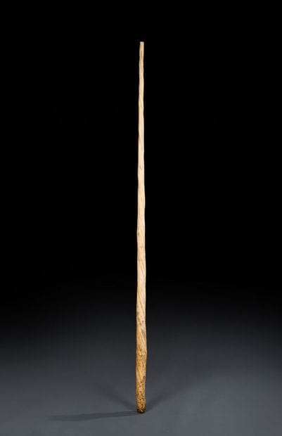 Large Narwhal tooth (Monodon monoceros)
This...