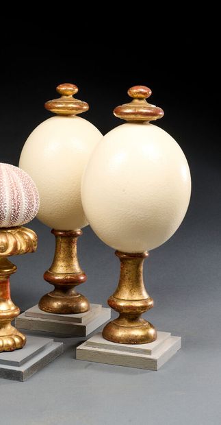 Set of two ostrich eggs mounted on a wooden...