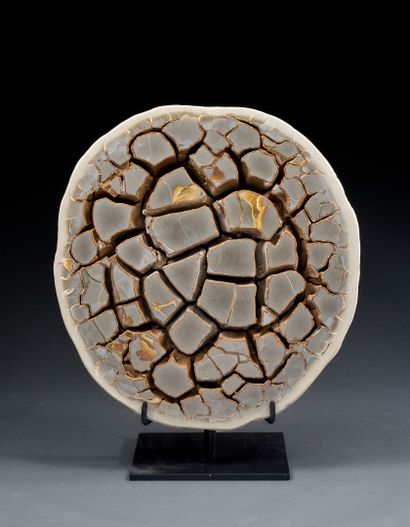 Septaria on base with magnificent fossilization...