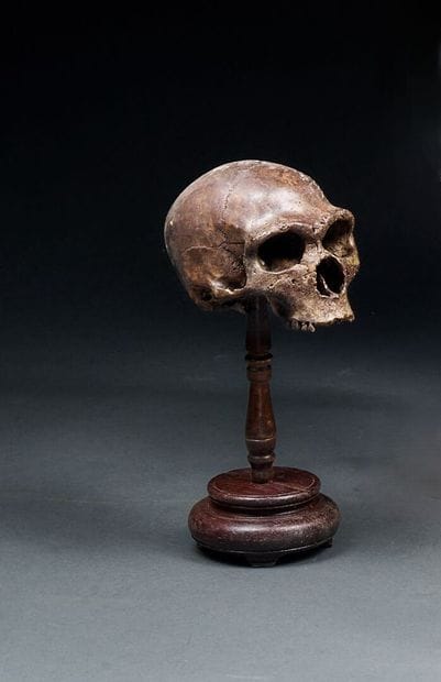 Memento mori on antique stand
Plaster
In...