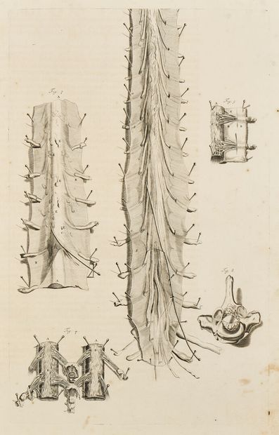G. de LAIRESSE (1641-1711), after
Set of...