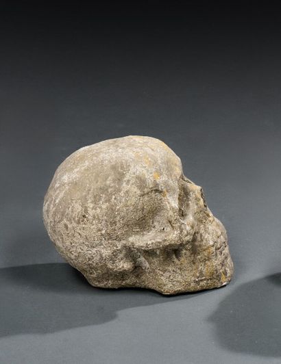 Stone skull
H. 17 cm - L. 20 cm - W. 13 ...