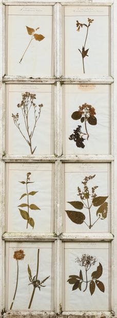 Set of four door panels, each with eight...