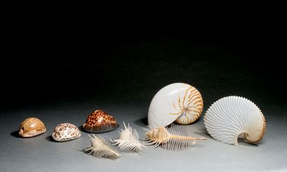 Set of three 